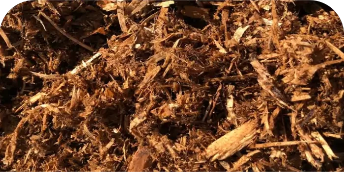 Canadian Cedar Mulch