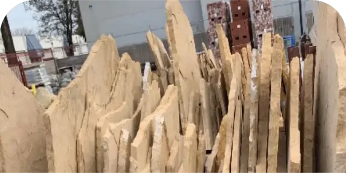 Irregular Buckskin Stand Up