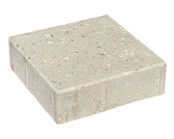 shellstone_8x8 (2)
